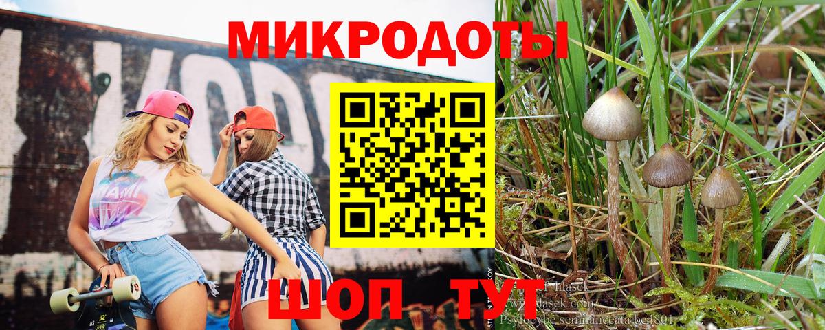 Галлюциногенные грибы мицелий Торжок